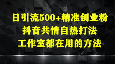 日引流500+精准创业粉，抖音共情自热打法，工作室都在用的方法-柚子网创