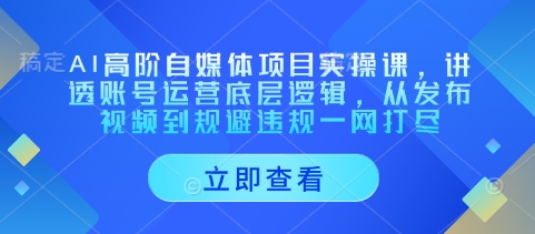 AI高阶自媒体项目实操课，讲透账号运营底层逻辑，从发布视频到规避违规一网打尽-柚子网创