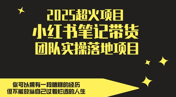 2025超火项目，副业最佳选择，小红书笔记带货团队实操落地项目，，轻松日入5张-柚子网创