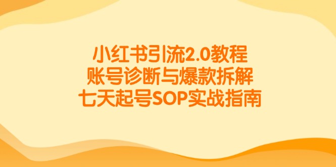 （14981期）小红书引流2.0教程，账号诊断与爆款拆解，七天起号SOP实战指南-柚子网创