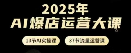 2025年AI爆店运营大课，13节AI实操课+37节流量运营课-柚子网创