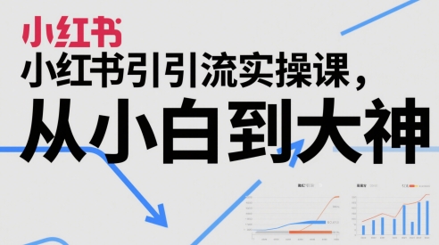 小红书引流实操课，从小白到大神-柚子网创