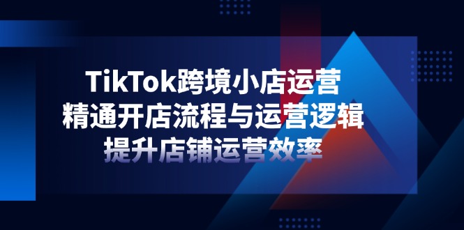 （14369期）TikTok跨境小店运营，精通开店流程与运营逻辑，提升店铺运营效率-柚子网创