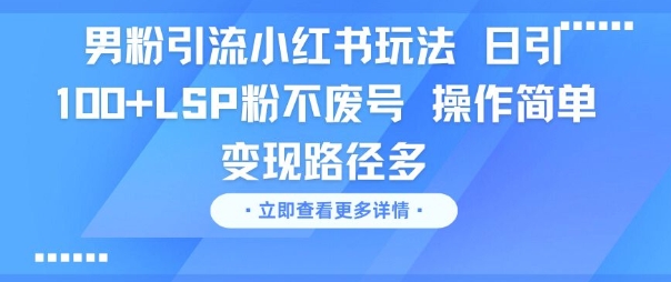男粉引流小红书玩法，日引100+LSP粉不废号，操作简单，变现路径多-柚子网创