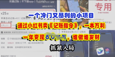 一个冷门需求，通过小红书卖《记账指令》，一本万利，谁做谁发，抓紧入局-柚子网创