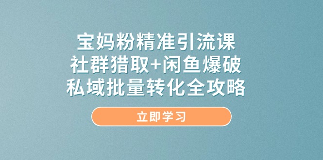 （14820期）宝妈粉精准引流课，社群猎取+闲鱼爆破，私域批量转化全攻略-柚子网创