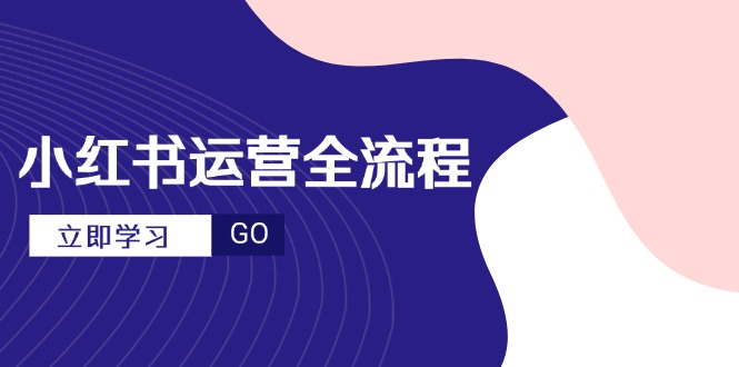 （14861期）小红书运营全流程，爆款选题文案，视频制作技巧，进阶达人宝典-柚子网创