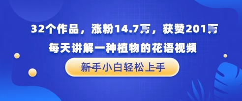 32个作品，涨粉14.7W，获赞201W，每天讲解一种植物的花语视频，无需任何技巧，新手小白轻松上手-柚子网创