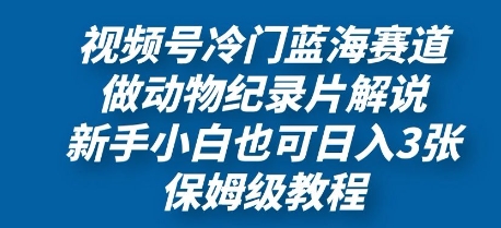 视频号冷门蓝海赛道，做动物纪录片解说，新手小白也日入3张，保姆级教程-柚子网创