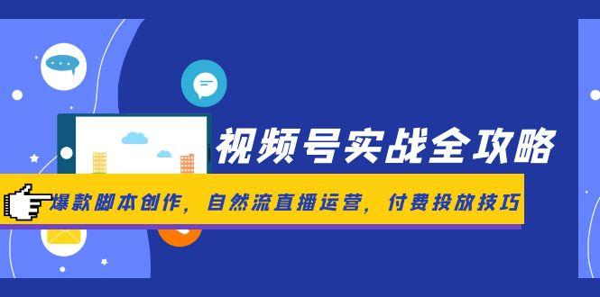 （14925期）视频号实战全攻略，爆款脚本创作，自然流直播运营，付费投放技巧-柚子网创