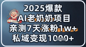 2025爆款 AI 老奶奶项目：亲测 7 天涨粉 1W+，私域变现 1k+-柚子网创