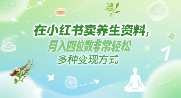 在小红书卖养生资料，月入四位数非常轻松，多种变现方式-柚子网创