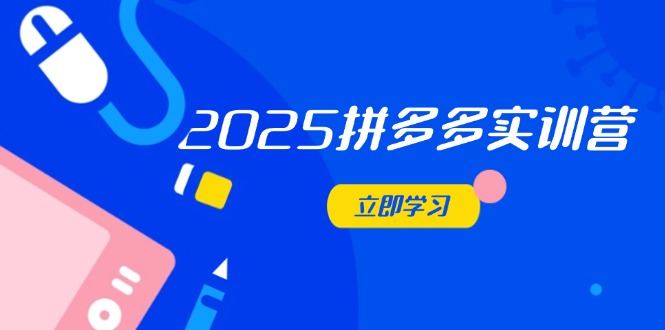 （14531期）2025拼多多实训营：深度剖析运营关键，助力电商人快速提升-柚子网创