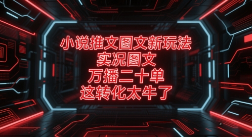 小说推文图文新玩法，实况图文，万播二十单，这转化太牛了！-柚子网创