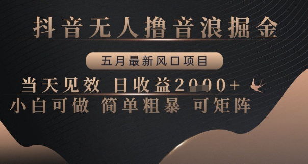 抖音无人撸音浪掘金，五月最新风口项目，当天见效，日收益多张，小白可做简单粗暴可矩阵【揭秘】-柚子网创