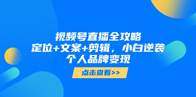 （14819期）视频号直播全攻略，定位+文案+剪辑，小白逆袭个人品牌变现-柚子网创