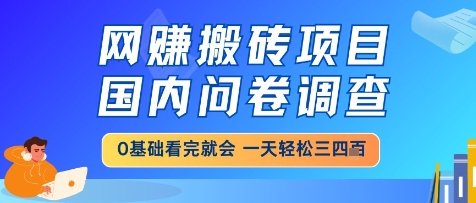 网创搬砖项目，国内问卷调查，小白轻松上手，一天三四张的也不难，干就完了【揭秘】-柚子网创