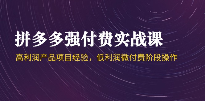 （14874期）拼多多强付费实战课-44期，高利润产品项目经验，低利润微付费阶段操作-柚子网创