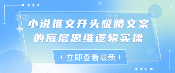 小说推文开头吸睛文案的底层思维逻辑实操-柚子网创