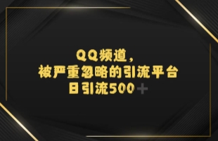 引流蓝海QQ频道，日引500+创业粉-柚子网创