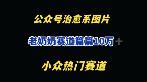 公众号老奶奶治愈系流量主，篇篇10W+-柚子网创