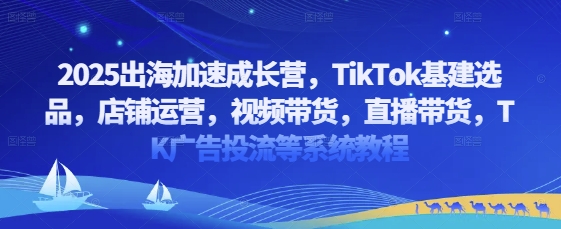 2025出海加速成长营，TikTok基建选品，店铺运营，视频带货，直播带货，TK广告投流等系统教程-柚子网创