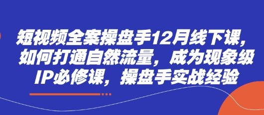 短视频全案操盘手12月线下课，如何打通自然流量，成为现象级IP必修课，操盘手实战经验-柚子网创