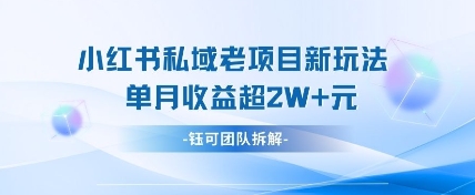小红书私域项目新玩法，单月变现过W+-柚子网创