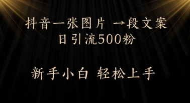 每天2分钟，抖音一张图片 一段文案日引流500粉-柚子网创