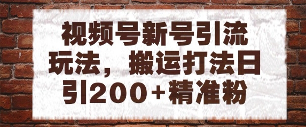 视频号新号引流玩法，搬运打法日引200+精准粉，可矩阵放大【揭秘】-柚子网创