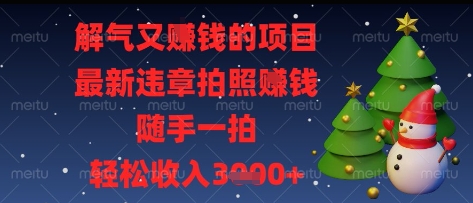 解气又挣钱的项目，最新违章拍照挣钱，随手一拍，轻松收入多张【揭秘】-柚子网创