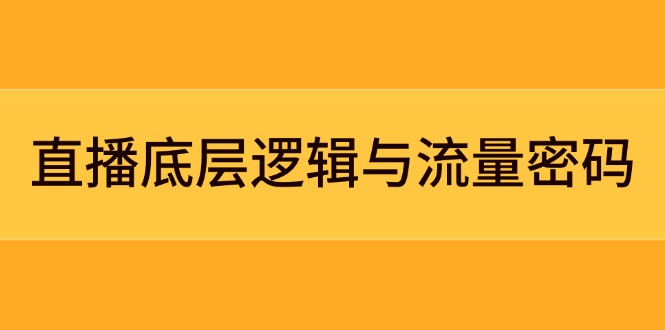 （14695期）直播底层逻辑与流量密码：定位模型+案例拆解，急速流承接与数据优化全攻略-柚子网创