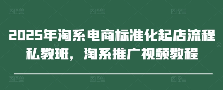 2025年淘系电商标准化起店流程私教班，淘系推广视频教程-柚子网创