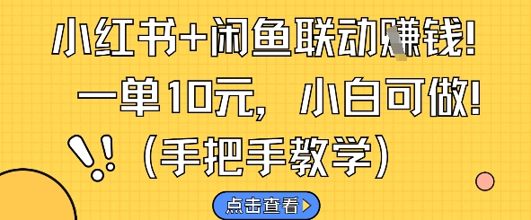 小红书+闲鱼联动挣钱，一单10元，小白可做-柚子网创