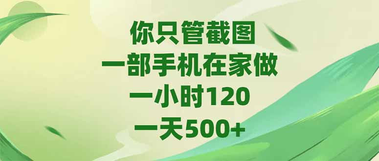 （15039期）你只管截图，一部手机在家做，一小时120，-天500+-柚子网创