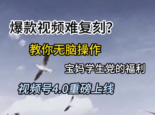 视频号4.0重磅上线，爆款视频难复刻？教你无脑操作宝妈学生党的福利【揭秘】-柚子网创
