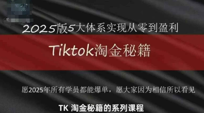 TikTok跨境2025淘金秘籍，​2025TikTok从0到盈利变现-柚子网创