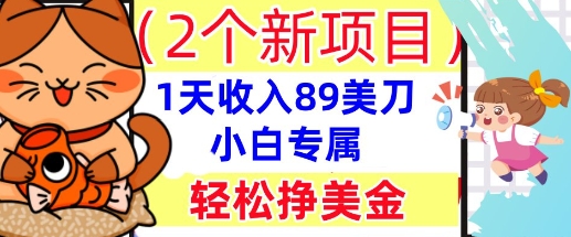 2个新项目，轻松挣美金， 1天收入89美刀，小白专属，干货分享-柚子网创