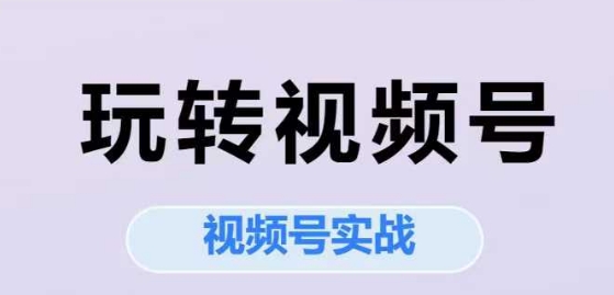 玩转视频号，视频号实战系列课-柚子网创