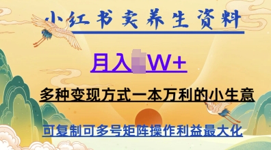 在小红书上卖养生资料，月入1w+，多种变现方式一本万利的小生意-柚子网创