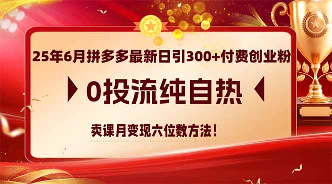 （14989期）25年6月拼多多最新日引300+付费创业粉，0投流纯自热 卖课月变现六位数方法-柚子网创