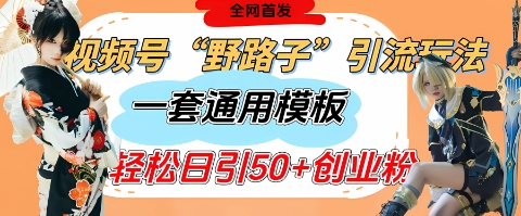 视频号“野路子”玩法，评论区疯狂截流，一套模板单日单号引流50+创业粉-柚子网创