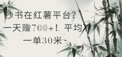 抄书在小红薯平台？平均一单30米，一天收益几张！-柚子网创