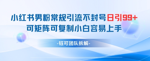 小红书男粉常规引流不封号日引99+变现简单 可矩阵可复制小白容易上手-柚子网创