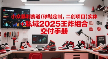 小众暴利赛道(球鞋定制，二创项目)实体+私域2025王炸组合  交付手册-柚子网创