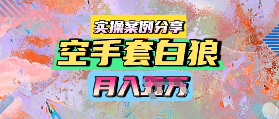 空手套白狼，月入过1W，实操案例分享-柚子网创