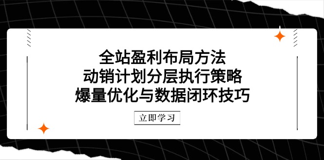 （14698期）全站盈利布局方法：动销计划分层执行策略，爆量优化与数据闭环技巧-柚子网创