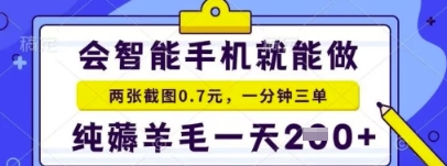 简单截图就能有收益，最适合小白做的副业，日入2张+轻轻松松-柚子网创