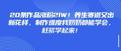 20条作品涨粉21W！养生赛道又出新花样，制作难度我奶奶都能学会，赶紧学起来-柚子网创