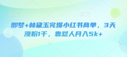 即梦+林黛玉完爆小红书商单，3天涨粉1千，靠怼人月入5k+-柚子网创